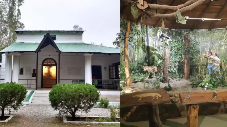 Corbett Museum Entrance door and inside the museum with 1 Tiger, 1 Bird, and 2 Hunters' statues in the artificial Jungle, Jim Corbett National Park, Nainital, Uttarakhand