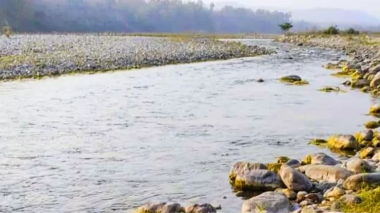 Kosi River (The Tributary of Ramganga River), Jim Corbett National Park, Nainital, Uttarakhand