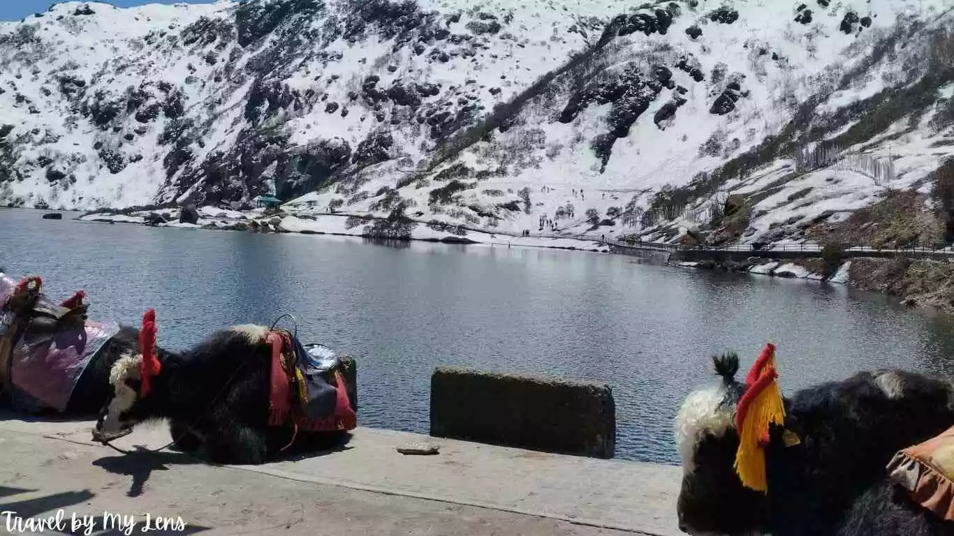 Changu Lake, Gangtok, Sikkim