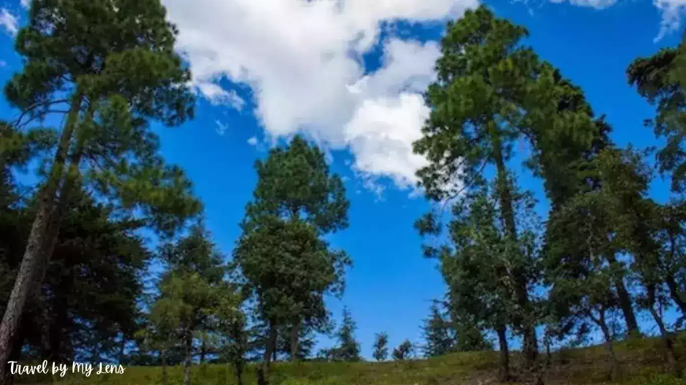Landscape with trees, sky and clouds in Ranikhet, a hill station in Uttarakhand State, India.