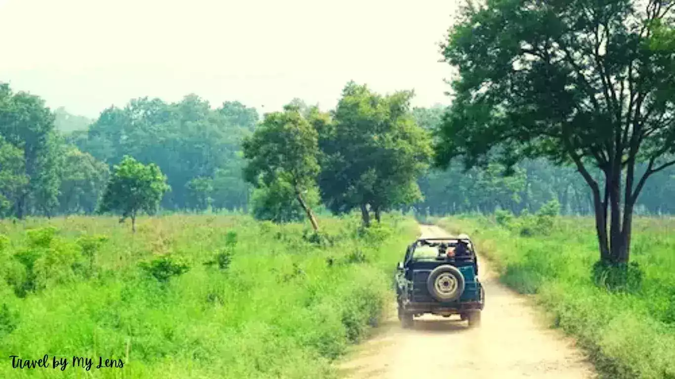 A jeep with tourists trying to spot Bengal Tigers in Jim Corbett National Park, Uttarakhand, India.