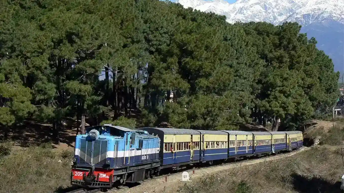 Kangra Shimla Railway (Toy Train) with trees and snowy mountains in background, Himachal Pradesh, India