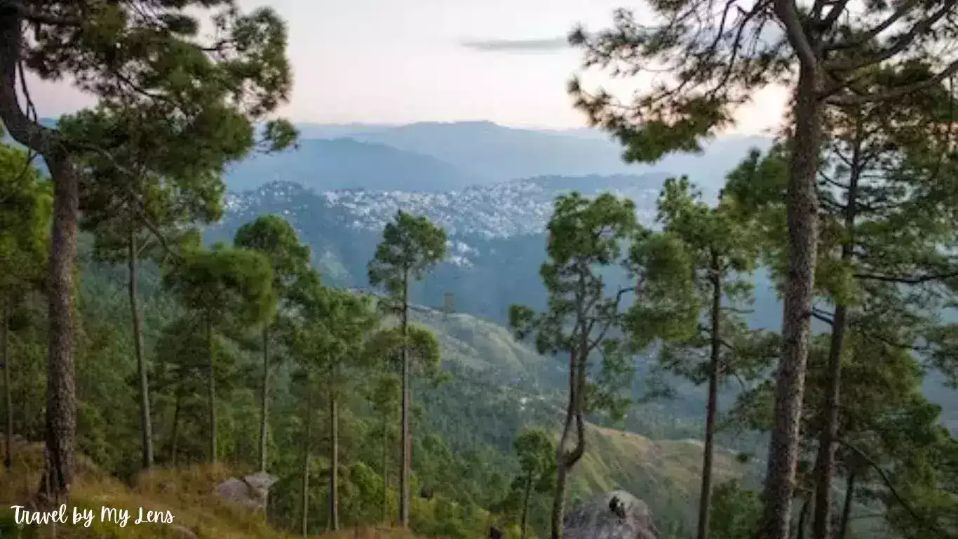 Almora, Uttarakhand, shaped like a horseshoe, is famous for its wildlife, green landscapes, culture and cuisines.