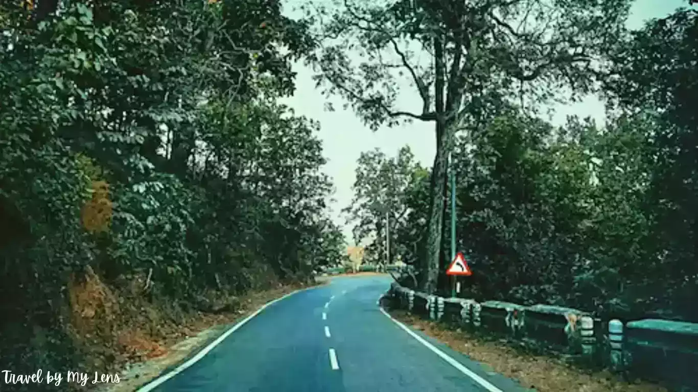 Kathgodam to Nainital Road with trees on both sides. Kathgodam serves as the nearest railway station to Nainital district and other parts of Kumaon region in Uttarakhand.