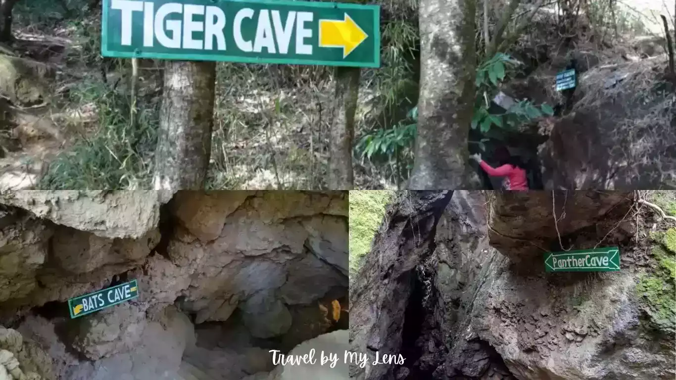 Panther Cave, Tiger Cave, Bat Cave, Apes Cave, and Flying fox Cave are some of the caves in Eco Cave Garden / Park, Nainital, Uttarakhand, India.